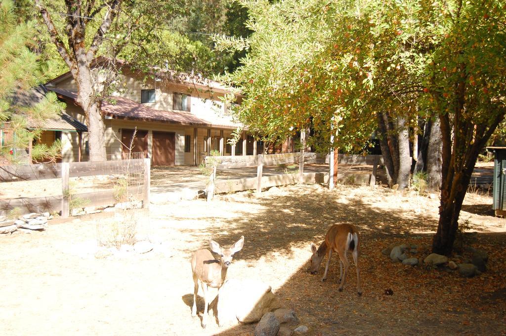9N Fox Hollow Wawona Bagian luar foto